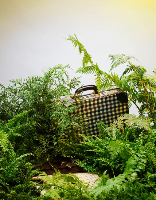 Jungle study