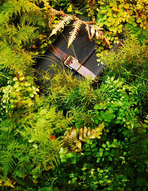 Jungle study